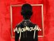 DJ Maphorisa Ft. Xduppy & Kabza De Small, Thatohatsi, Young Stunna & Nkosazana Daughter - Abantwana Bakho