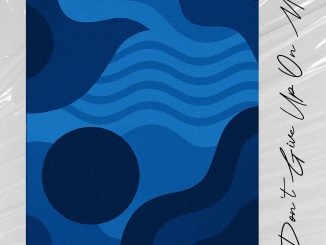 MP3: Rowlene Ft. Tashinga & Argento Dust - Don’t Give up on Me II