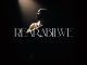 ALBUM: Sfarzo Rtee – Rearabilwe